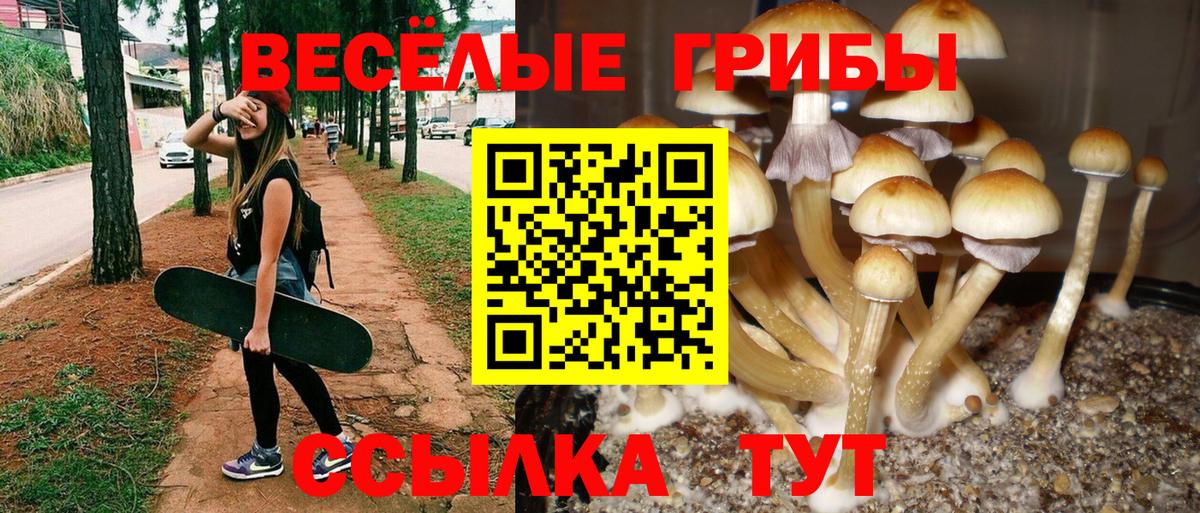 Псилоцибиновые грибы мицелий  хочу   Ярцево  Вход с VPN  Псилоцибиновые грибы MAGIC MUSHROOMS 