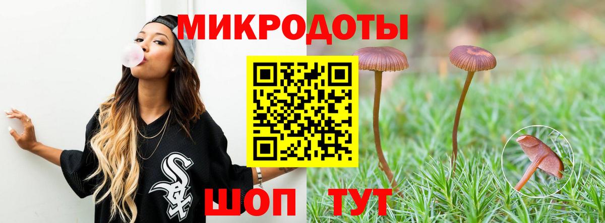 Псилоцибиновые грибы Psilocybe Ярцево